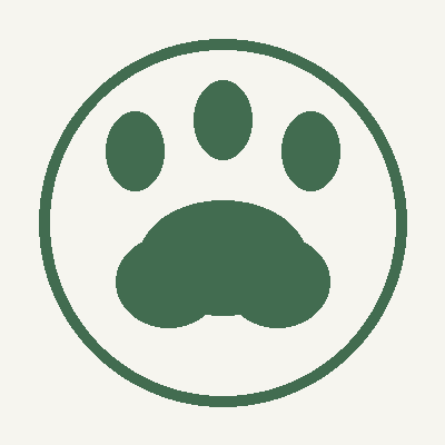 AION 2 Pets logo