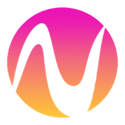 ViNano AI logo