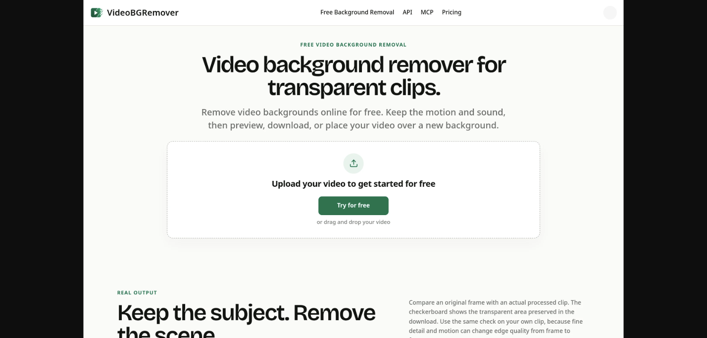 VideoBGRemover screenshot